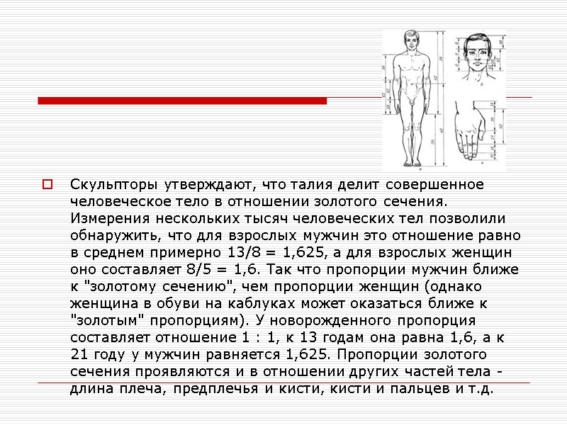 Скульпторы утверждают, что талия делит совершенное человеческое тело в отношении золотого сечения. Измерения нескольких